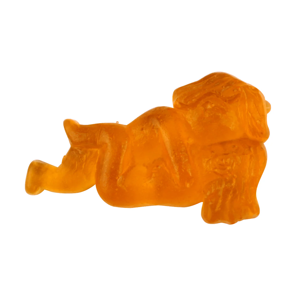 Gummy Sutra - Image 7